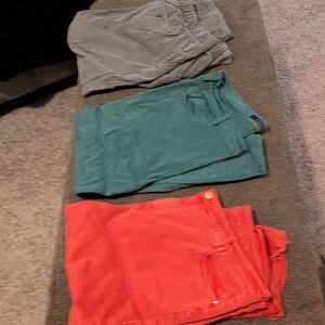 Teal, Coral and Gray Pants Lot Size 20